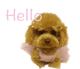 "Honey" raised the lovely little dog sticker #15892542