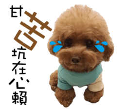 "Honey" raised the lovely little dog sticker #15892544