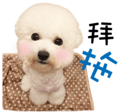 "Honey" raised the lovely little dog sticker #15892546