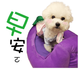 "Honey" raised the lovely little dog sticker #15892548