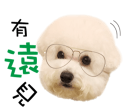 "Honey" raised the lovely little dog sticker #15892550