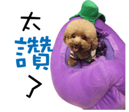 "Honey" raised the lovely little dog sticker #15892553