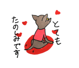 litte chihuahua sticker #15892835