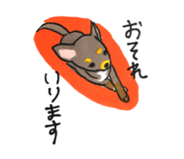 litte chihuahua sticker #15892838