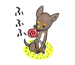 litte chihuahua sticker #15892839