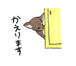 litte chihuahua sticker #15892840