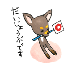 litte chihuahua sticker #15892841
