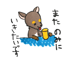 litte chihuahua sticker #15892843