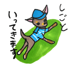 litte chihuahua sticker #15892844