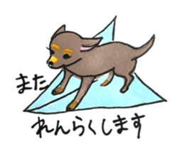 litte chihuahua sticker #15892846