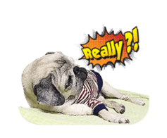 Lovely Pug Stickers global(animation) sticker #15893471