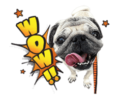 Lovely Pug Stickers global(animation) sticker #15893486