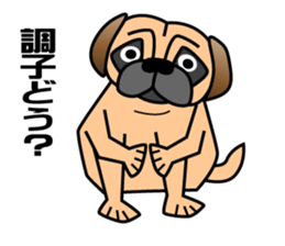 Pugpug1 sticker #15894029