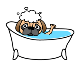 Pugpug1 sticker #15894039