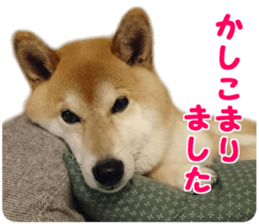 Anko & Ten sticker #15894443