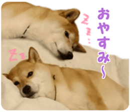 Anko & Ten sticker #15894444