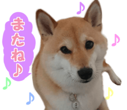 Anko & Ten sticker #15894445