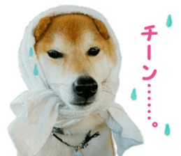 Anko & Ten sticker #15894446