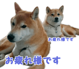 Anko & Ten sticker #15894447