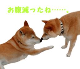 Anko & Ten sticker #15894448