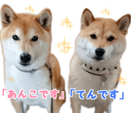 Anko & Ten sticker #15894449