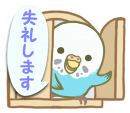 Honorific Ms.Seiko of the budgerigar sticker #15894453