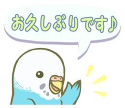 Honorific Ms.Seiko of the budgerigar sticker #15894455