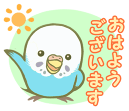 Honorific Ms.Seiko of the budgerigar sticker #15894457