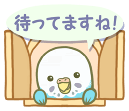 Honorific Ms.Seiko of the budgerigar sticker #15894461