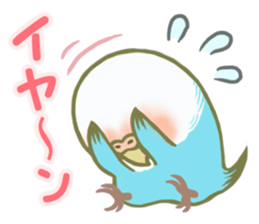 Honorific Ms.Seiko of the budgerigar sticker #15894463