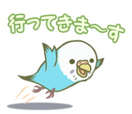 Honorific Ms.Seiko of the budgerigar sticker #15894464