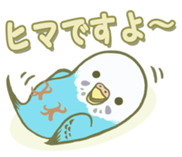Honorific Ms.Seiko of the budgerigar sticker #15894467