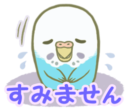 Honorific Ms.Seiko of the budgerigar sticker #15894473