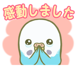Honorific Ms.Seiko of the budgerigar sticker #15894476