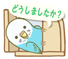 Honorific Ms.Seiko of the budgerigar sticker #15894477