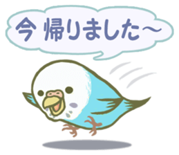 Honorific Ms.Seiko of the budgerigar sticker #15894480