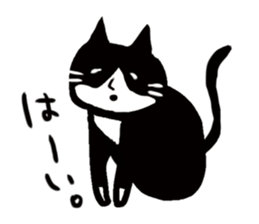 JUN of a cat sticker #15894954