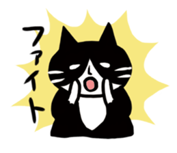 JUN of a cat sticker #15894971