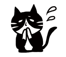 JUN of a cat sticker #15894972