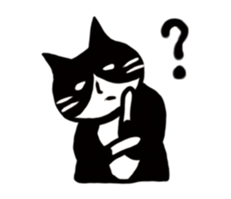 JUN of a cat sticker #15894975