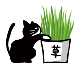 JUN of a cat sticker #15894983