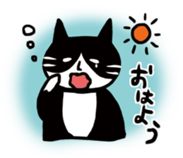 JUN of a cat sticker #15894984