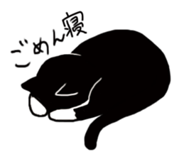 JUN of a cat sticker #15894986