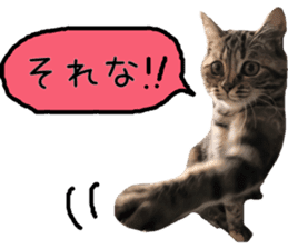 Kaori's Cat LIFE sticker #15896314