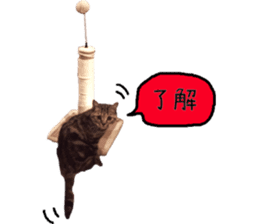 Kaori's Cat LIFE sticker #15896315
