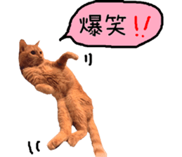 Kaori's Cat LIFE sticker #15896317