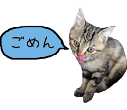Kaori's Cat LIFE sticker #15896318