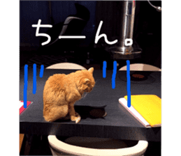 Kaori's Cat LIFE sticker #15896319
