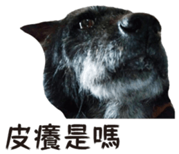 Handsome Dobby sticker #15896754