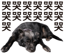 Handsome Dobby sticker #15896755